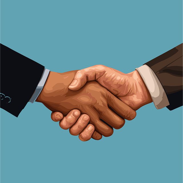 custody negotiation support