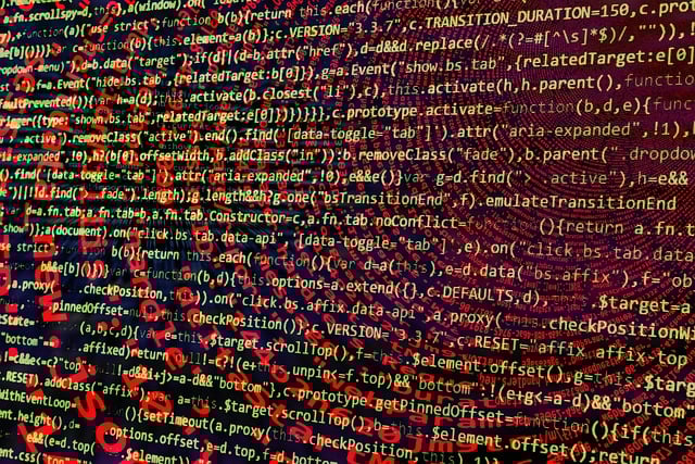 custom web development