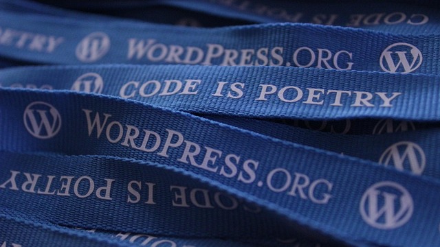 custom WordPress design