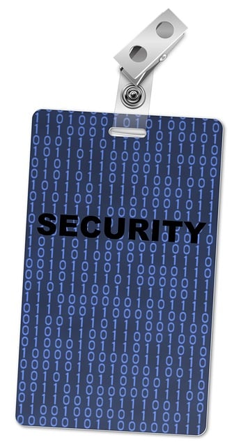 cyber audits for CPAs