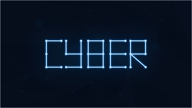 Cyber Insurance