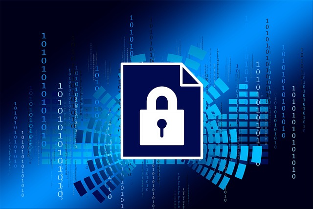Cyber Insurance for Data Protection