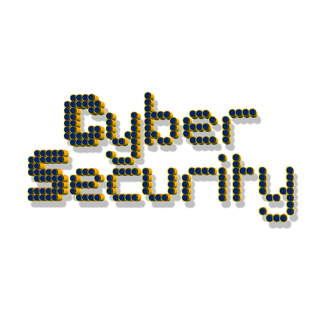 Cyber Insurance for Data Protection