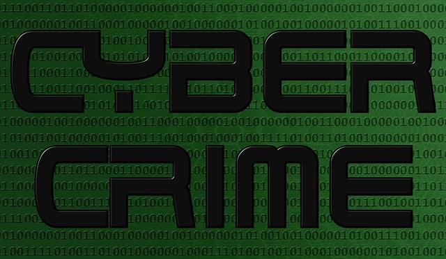 Cyber Insurance for Data Protection