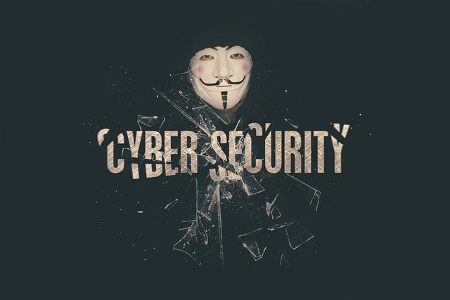 Cyber Insurance for Data Protection