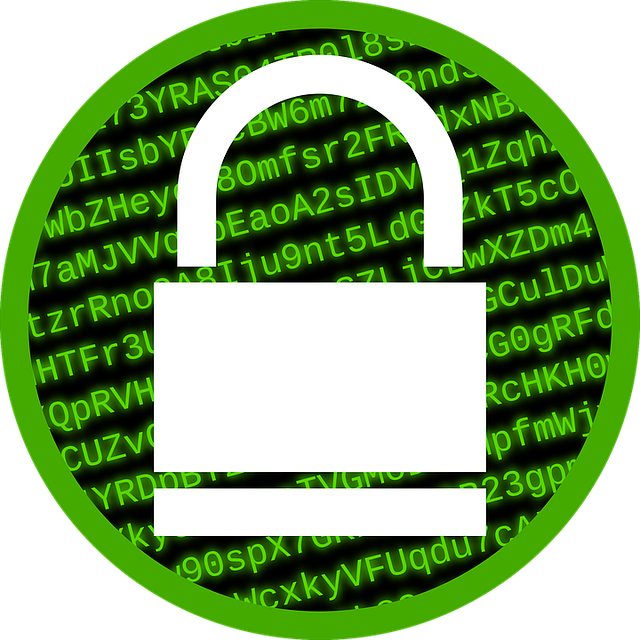 cybersecurity DE