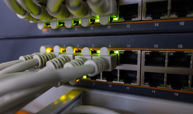 data recovery CPA firm