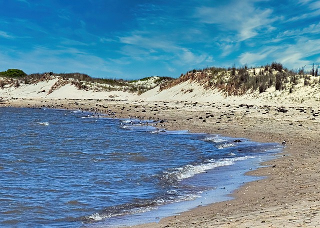 Delaware helpdesk