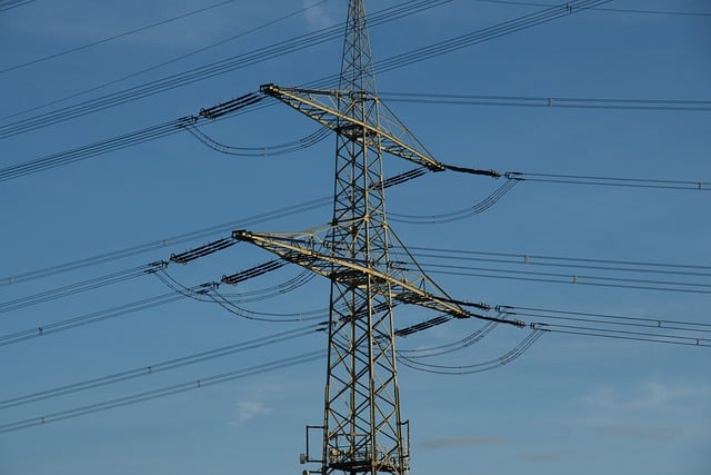 Delaware network support