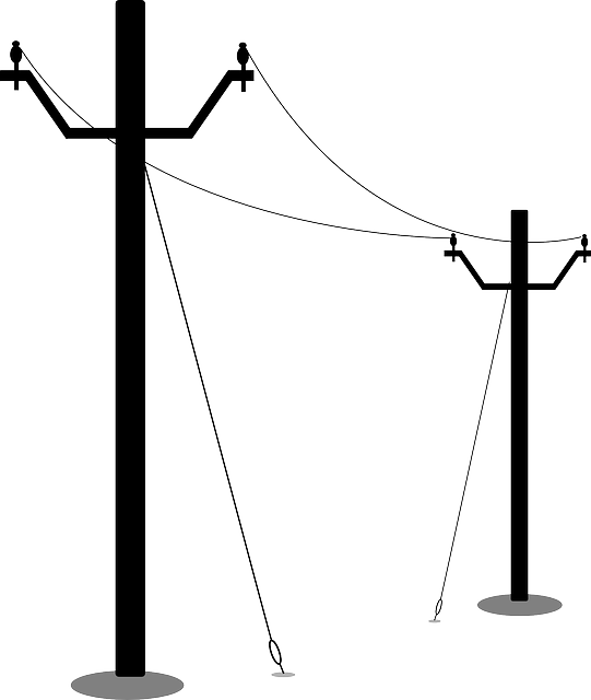 Delaware network support