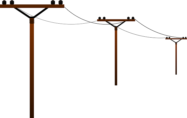 Delaware network support
