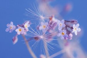 Delta-8 THC Near Me: Unlocking Nature’s Potential with Natural Compounds