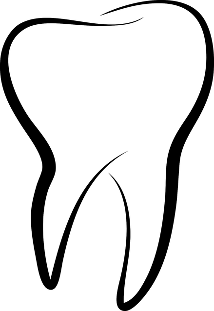 dentist business coverage