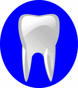 Protect Your Dental Practice: Customized Malpractice Insurance Guide