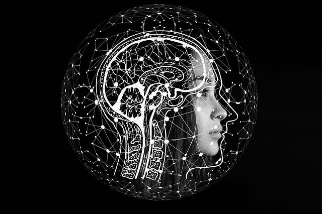 digital divorce mediator