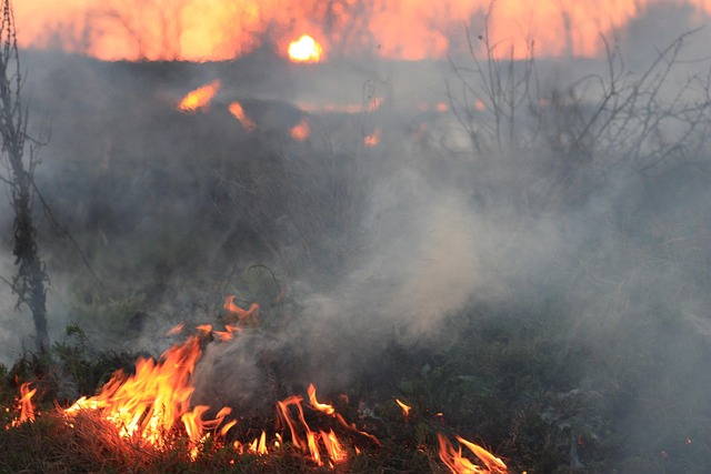 disaster recovery planning