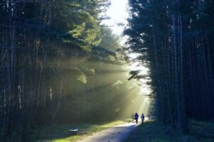 Corporate Divorce Planning: Navigating Business Split with Strategic Guidance