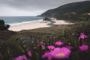 Divorce Mediation California: Structured Solutions for Peaceful Separations