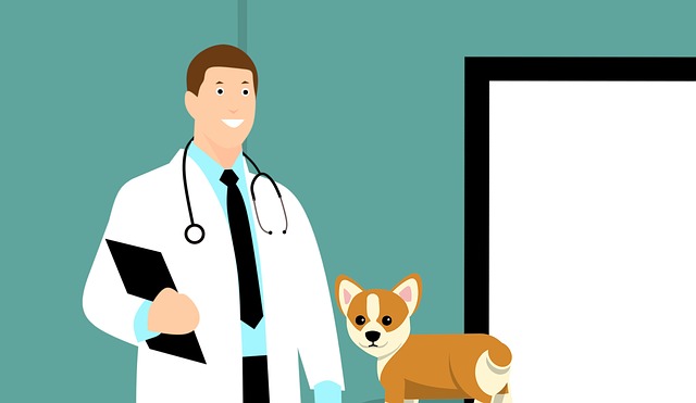 doctor professional coverage