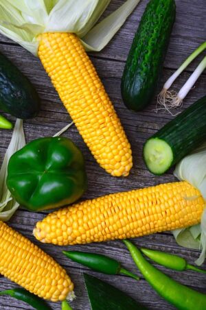 Doctor-Supervised Weight Loss Programs: Personalized Pathways to Health