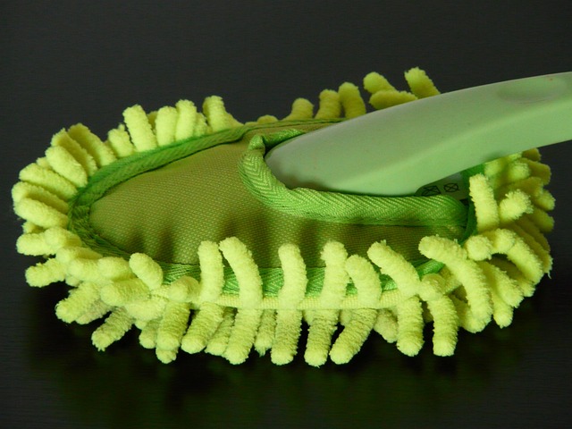 dust mite carpet cleaning