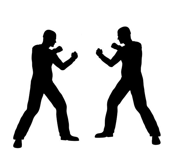 East Valley martial arts