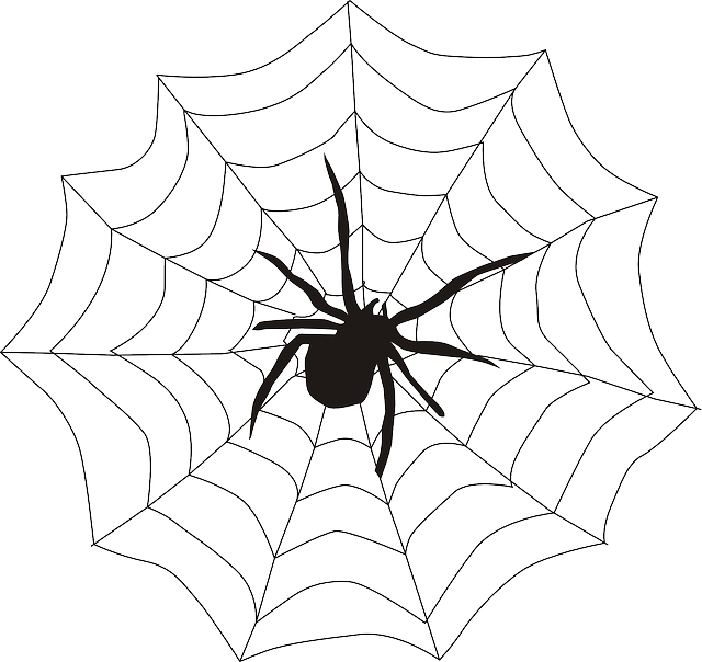 economical web design