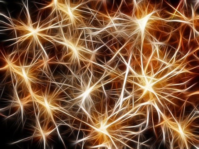 economy web design