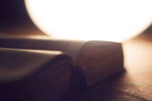 Special Needs Tutors: Expertise in Local Education Services