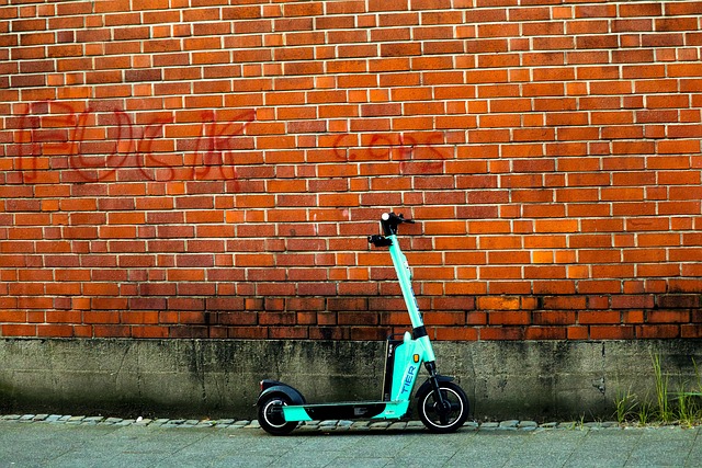 electric scooters for adults