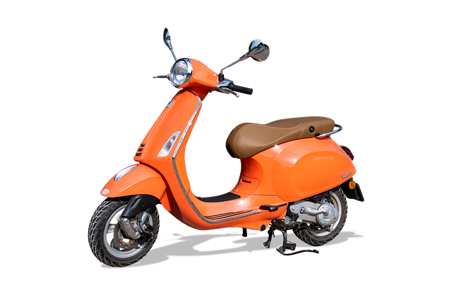 electric scooters for adults