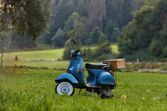 electric scooters for adults