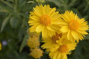 Healing from Trauma: PTSD Therapy in Mesa, AZ for Lasting Recovery