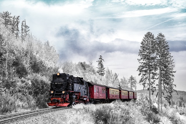 emergency steam cleaning