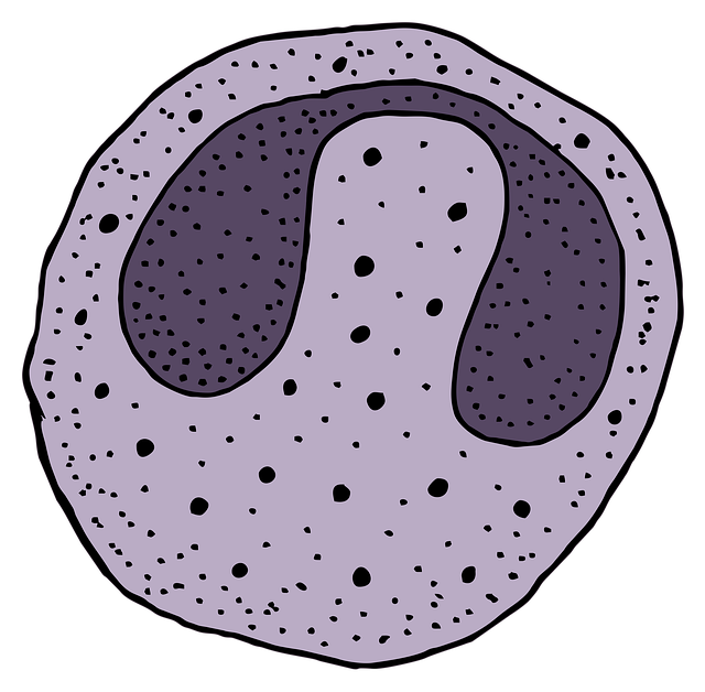 Fat Cell Freezing