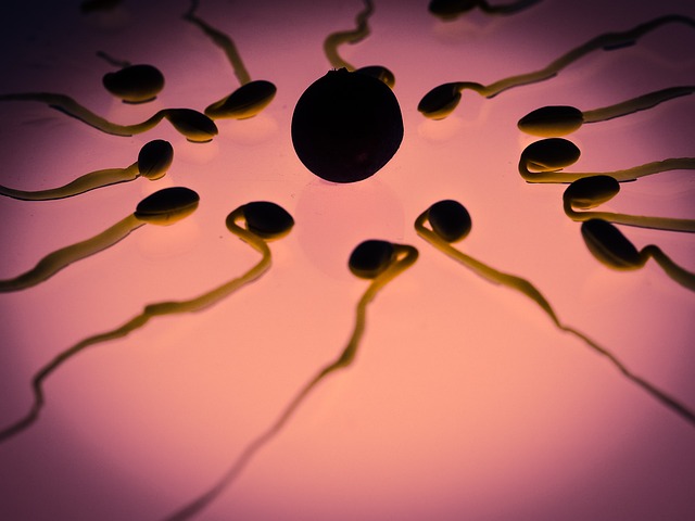 fat cell freezing