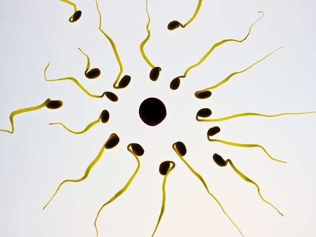 fat cell freezing