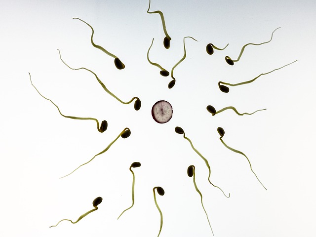 fat cell reduction with CoolSculpting