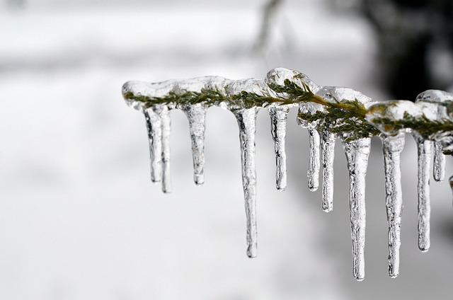 fat freezing Glendale