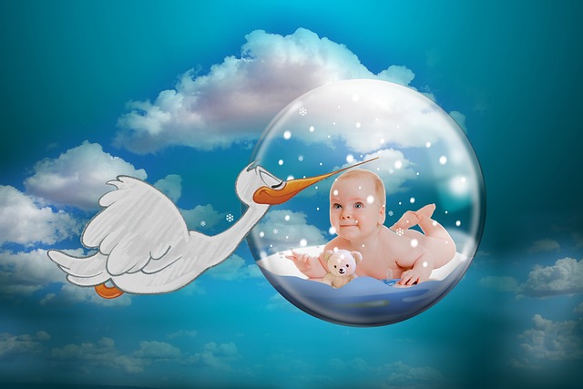 fertility support Austin