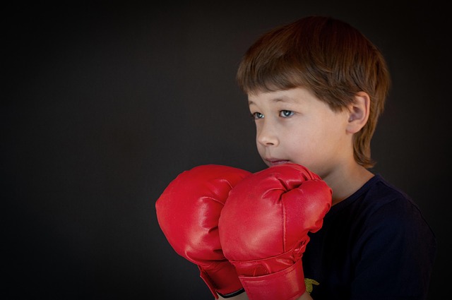 fight cardio Tempe