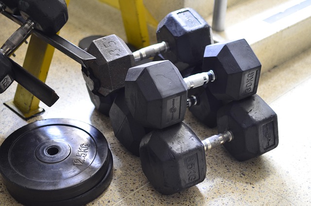 fight training gym Tempe