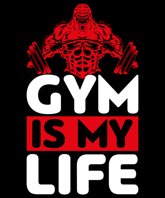 fight training gym Tempe