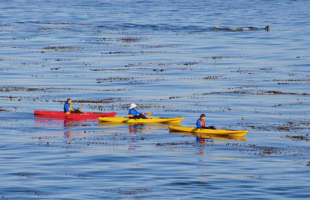 fishing kayak