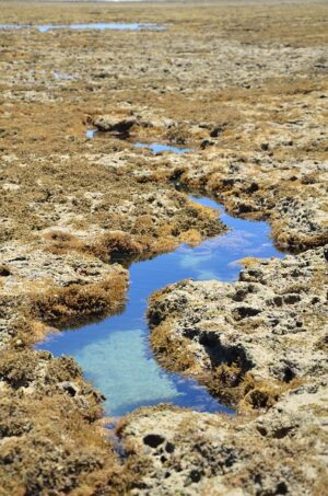 Holistic Fix: Effective Strategies for Fixing Foundation Cracks