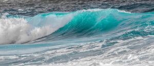 Deep Shampooing: Revitalize Your Carpets with Premium Care Techniques