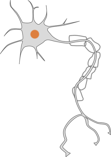Freeze Fat Cells