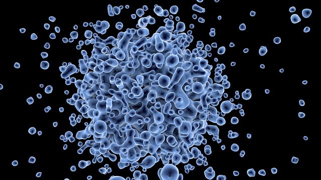 Freeze Fat Cells