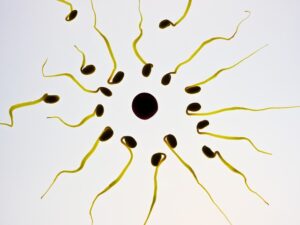 Freeze Fat Cells Without Downtime: A Comprehensive Guide