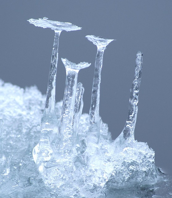Freeze Fat Cells
